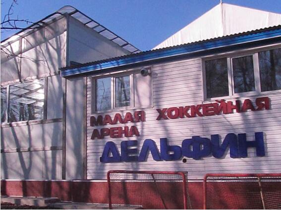 Малая хоккейная арена Дельфин
