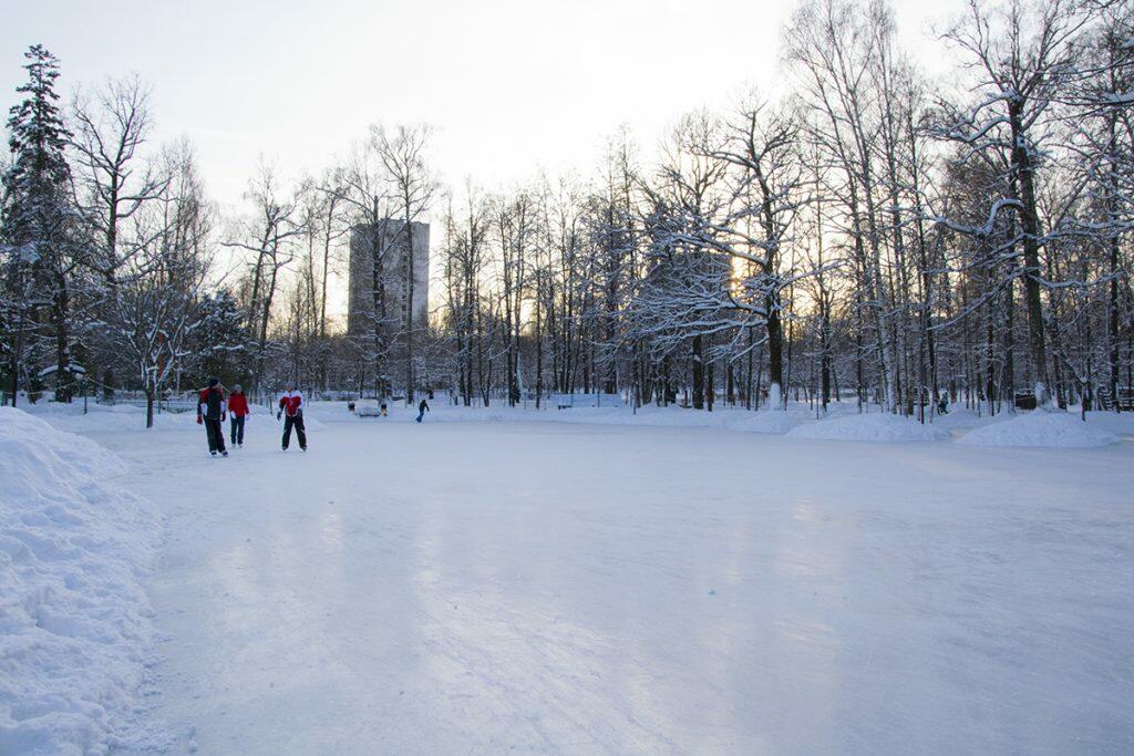 Каток в Лианозовском парке