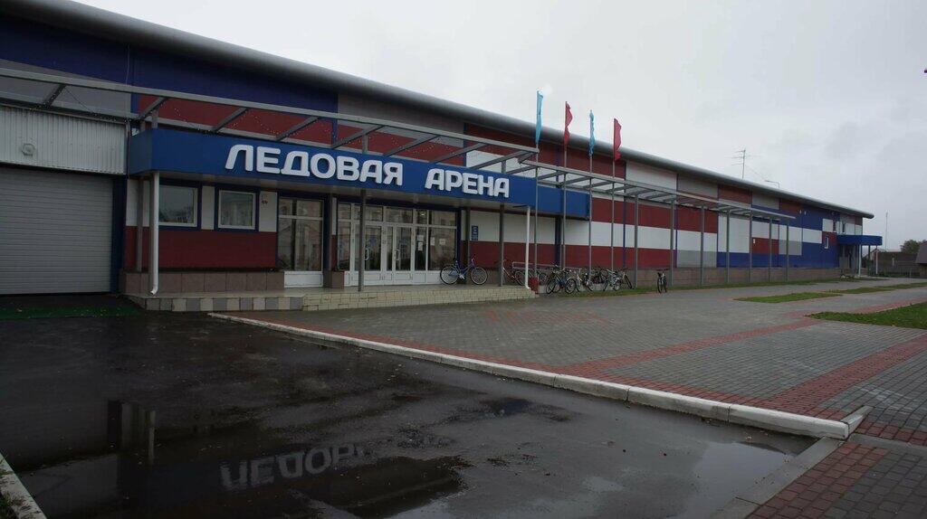 ФОК Ледовый г. Инсар
